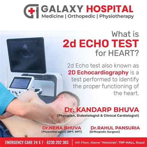 All You Need to Know: How to Read the 2D Echo Test Result.